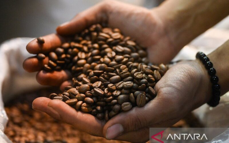 Ragam jenis kopi Indonesia – ANTARA News